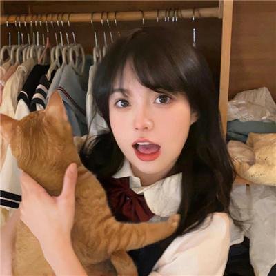 追星星的人第三季